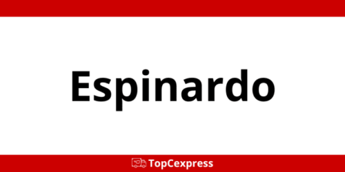 Teléfono oficina CTT Express Espinardo